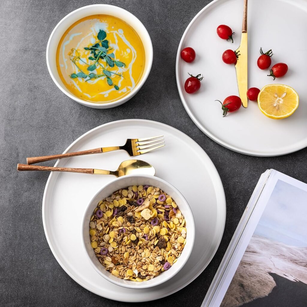 AmorArc modern stoneware plates for kitchen